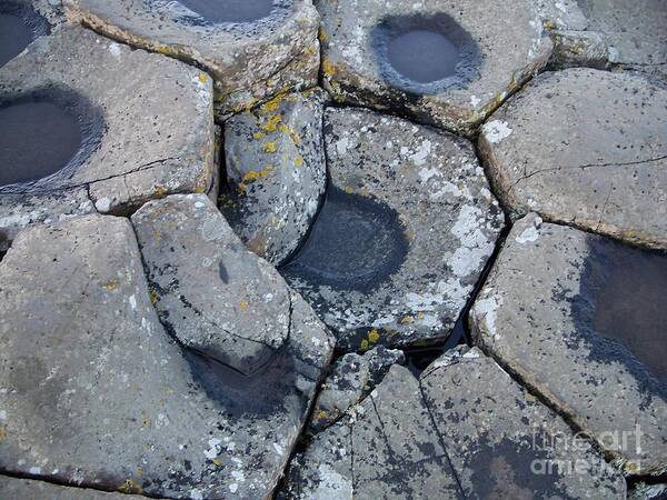 Stones Art Print featuring the photograph Stones on Giant's Causeway by Marilyn Zalatan