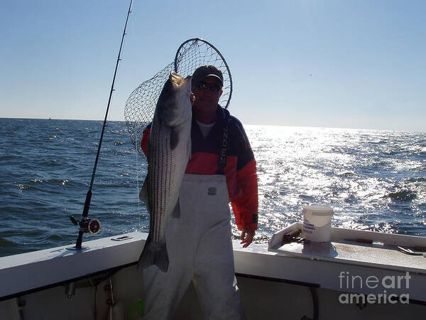 Striper Catch Of The Day Art Print featuring the photograph Striper Catch of the Day by John Telfer