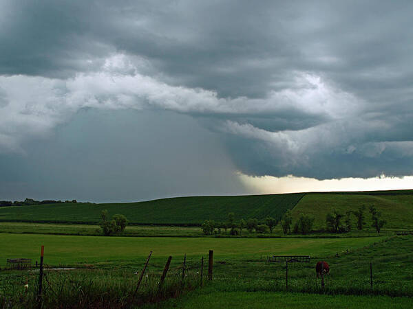 Nature Peterson Summertime Summer On The Farm Farms Landscape Landscapes Minnesota Mn Green Storm Chaser Chasers Dark Clouds Cloud Storms Stormy Field Fields Rolling Hills Hilly Fence Fences Grass Pasture Pastures Hoffman Kensington Land Heavy Downpour Downpours Pour Pouring Rain Rainy Scenic Rural Country Back Agriculture Farming Thunderstorm Thunderstorms Rainfall Rainstorm Rainstorms Shower Showers Cloudburst Weather Meadow Meadows Farmstead Extreme Cloudscape Cloudscapes Art Print featuring the photograph Summer Downpour by James Peterson