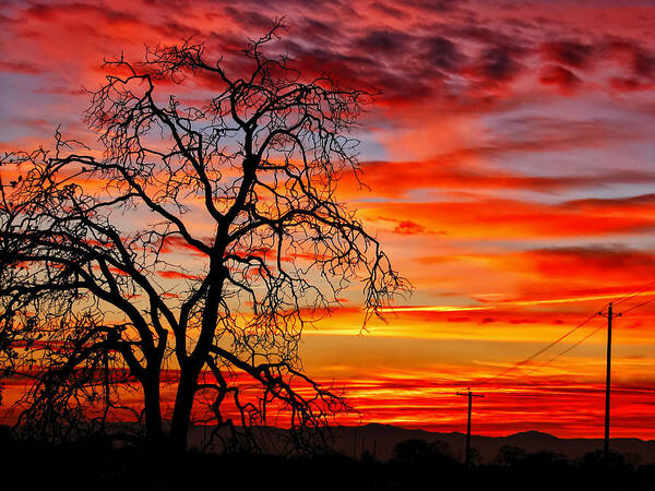 Sunset Photos Art Print featuring the photograph Sundown on Jeffcoat by Kathleen Bishop