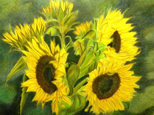 Sunflower Art Print featuring the drawing Sunny Days by Lori Ippolito