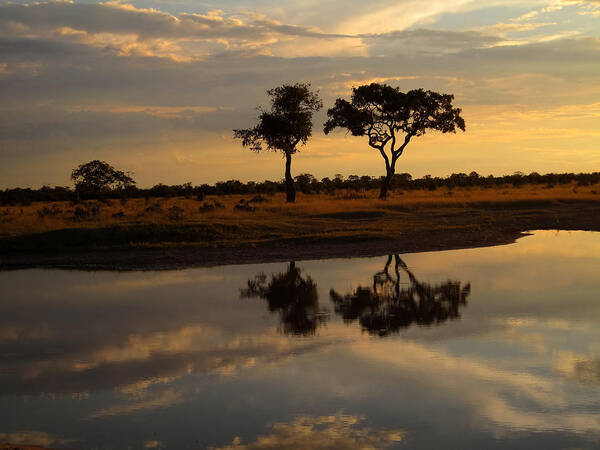 100324 Botswana & Zimbabwe Expeditions Art Print featuring the photograph Sunrise over Savuti Park by Gregory Daley MPSA