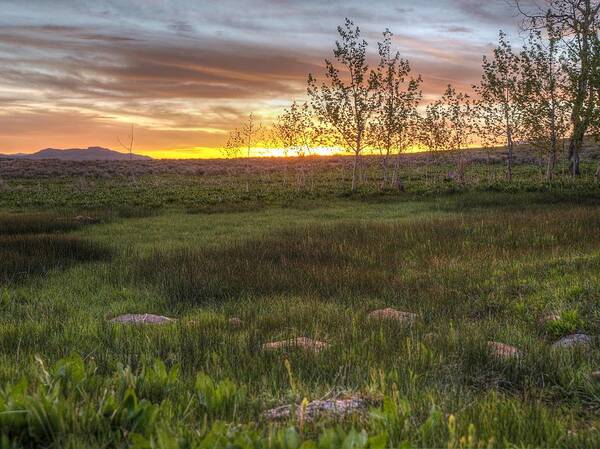 Elko Nevada Landscape Photography Art Print featuring the photograph Sunset at Sunflower Flats by Jenessa Rahn