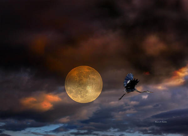 Super Moon Art Print featuring the photograph Super Moon 2013 by Angela Stanton