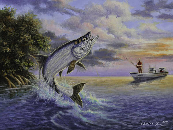 Tarpon fishing. Art Print by Charles Kim - Fine Art America