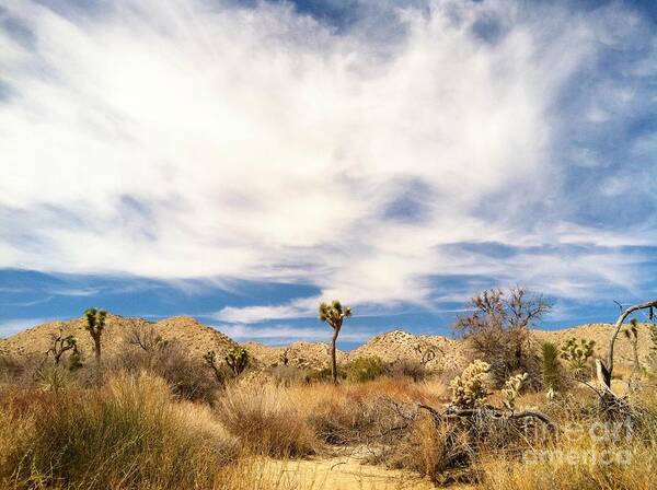 Yucca Valley California Art Print featuring the photograph Joshua Beauty by Angela J Wright