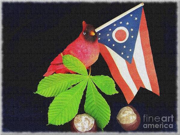 Ohio Art Print featuring the photograph The Buckeye State by Charles Robinson