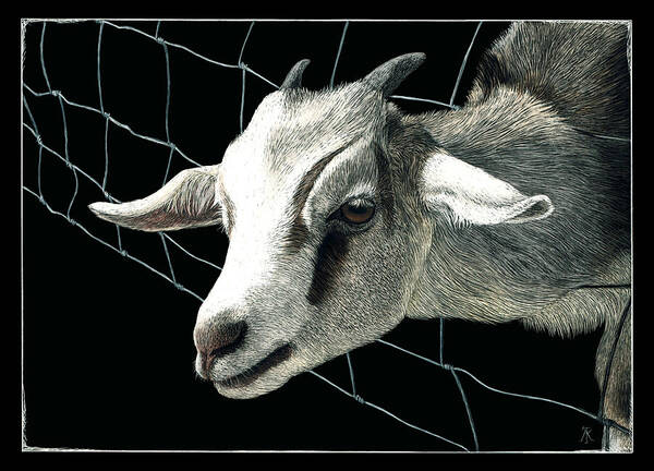 Goat Art Print featuring the drawing The Grass is Always Greener by Ann Ranlett