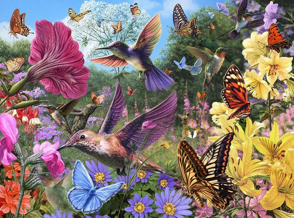 Steve Read Art Print featuring the photograph The Hummingbird Garden by MGL Meiklejohn Graphics Licensing
