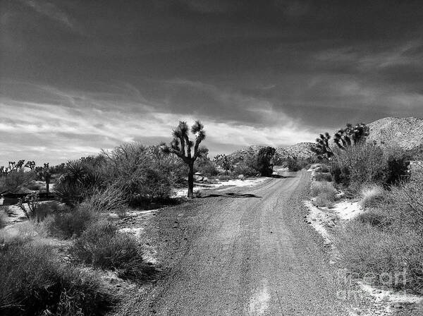 Desert Road Art Print featuring the photograph The RoaD by Angela J Wright