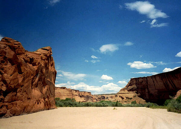 Canyon De Chelly Art Print featuring the photograph The Road Home. Canyon de Chelly 1993 by Connie Fox