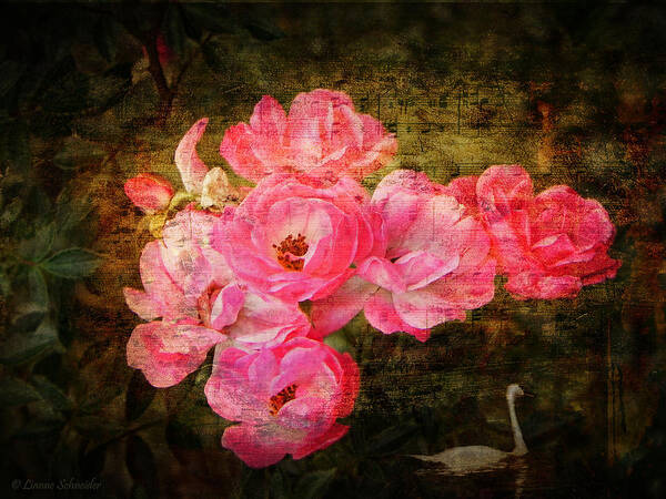 Rose Art Print featuring the photograph The Romance of Roses by Lianne Schneider