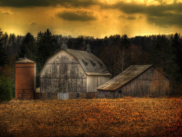 Farm Art Print featuring the photograph The Rose Farm by Thomas Young