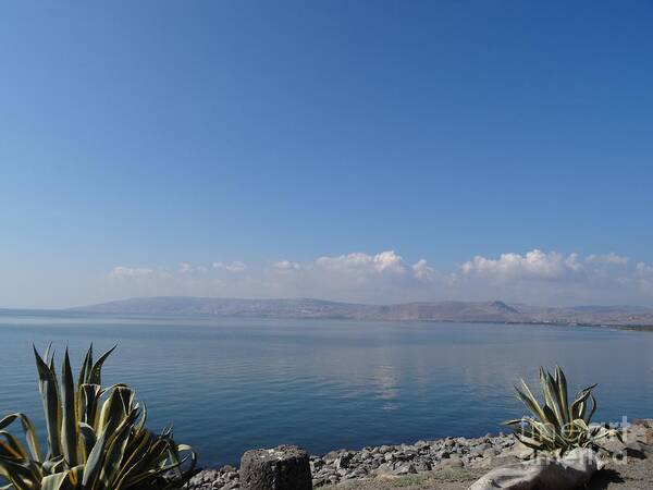Galilee Painting Art Print featuring the photograph The Sea of Galilee at Capernaum by Karen Jane Jones