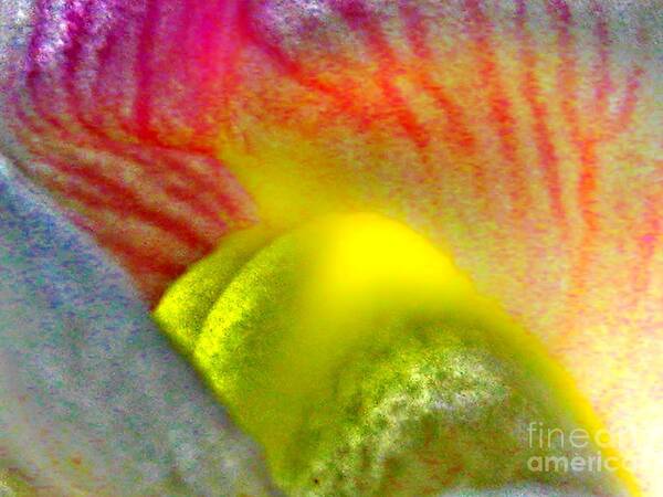 Snapdragon Art Print featuring the photograph The Snapdragon - Flower by Susan Carella