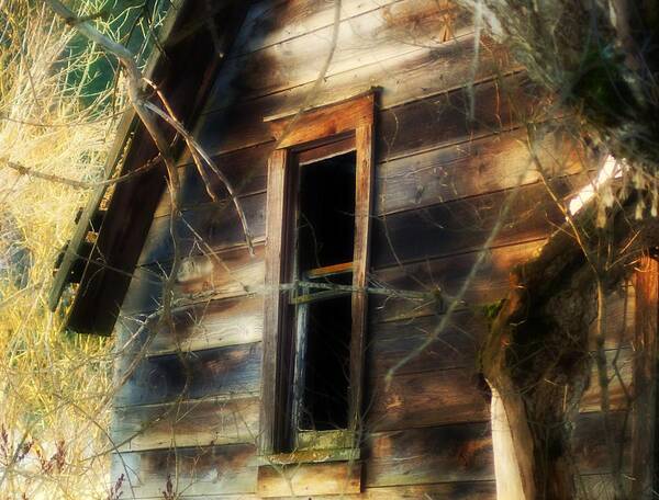Window Art Print featuring the photograph The Window2 by Loni Collins