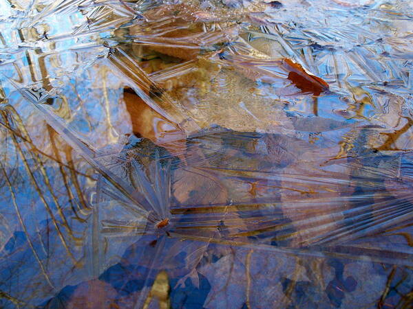 Ice Art Print featuring the photograph Thin Ice by David Pickett