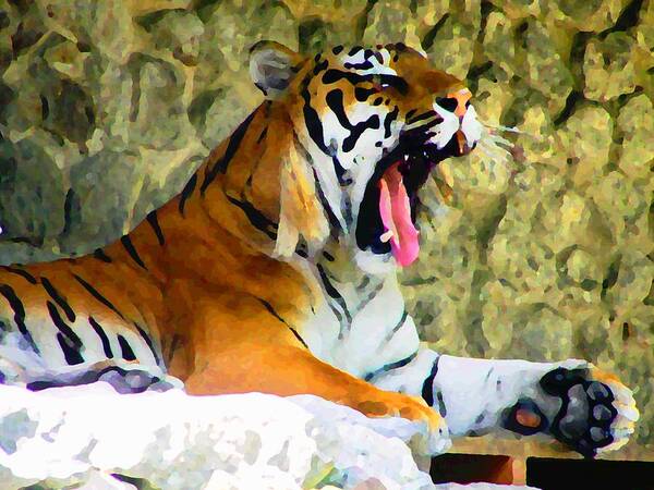 Tiger Art Print featuring the photograph Tiger by Oleg Zavarzin