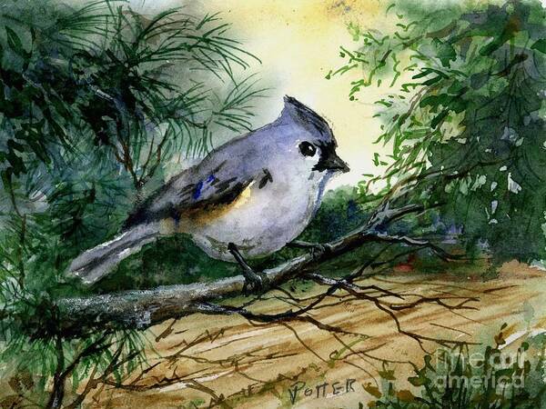 Bird Art Print featuring the painting Titmouse by Virginia Potter