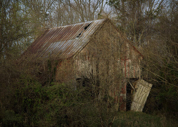 Red Barn Art Print featuring the photograph To Be Versed in Country Things by Rebecca Sherman