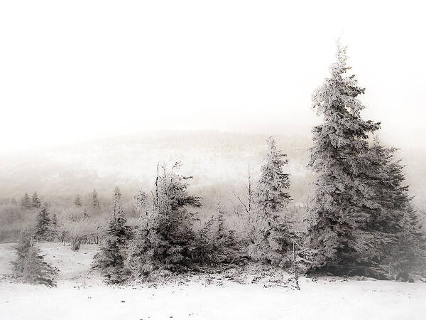 Canaan Valley Art Print featuring the photograph Top of Canaan in Winter by Shane Holsclaw