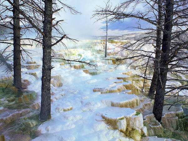Feb0514 Art Print featuring the photograph Travertine Formations Minerva Terrace by Tim Fitzharris