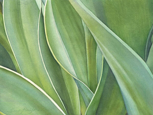 Leaves Art Print featuring the painting Unfolding Tulip Leaves by Sandy Haight