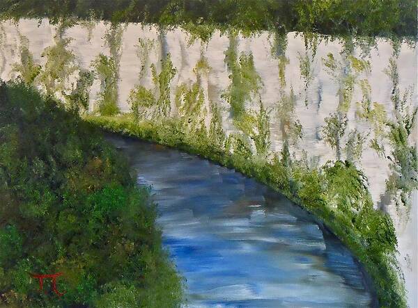 Upper Iowa River Bluffs Decorah Iowa Bluffton Art Print featuring the painting Upper Iowa Bluffs by Troy Thomas