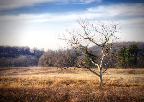 Valley Forge Art Print featuring the photograph Valley Forge Winter by Vicki Jauron