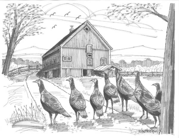 Vermont Wild Turkeys Art Print featuring the drawing Vermont Wild Turkeys by Richard Wambach