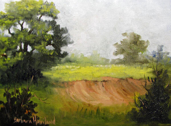 Landscape Art Print featuring the painting View From The Road by Barbara Haviland