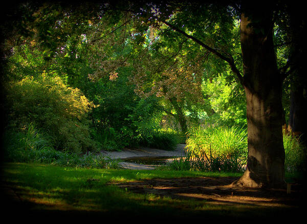 Park Art Print featuring the photograph Walk in the park by Nathan Abbott