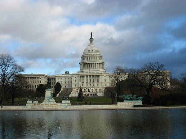 Washington Art Print featuring the photograph Washington DC - US Capitol - 12122 by DC Photographer