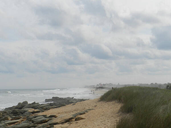 Seashore Art Print featuring the photograph Washington Oaks Beach by Deborah Ferree