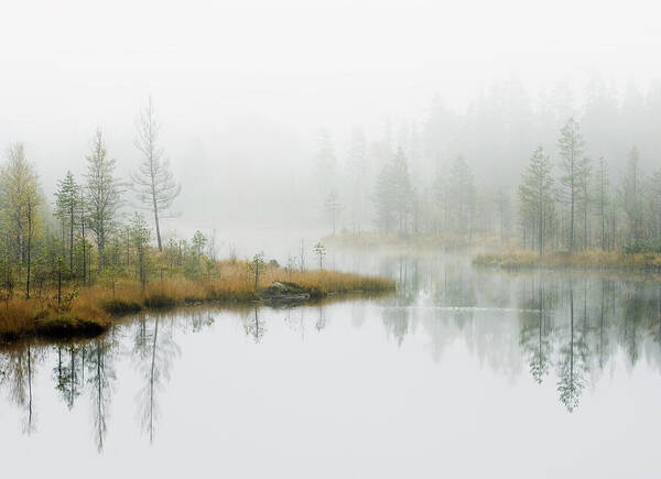 Scenics Art Print featuring the photograph Water In Forest by Roine Magnusson