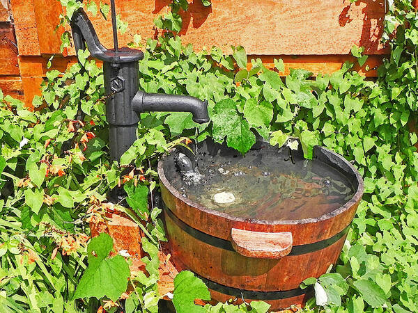 Water Art Print featuring the photograph Water pump and rain barrel by Anthony Dalton