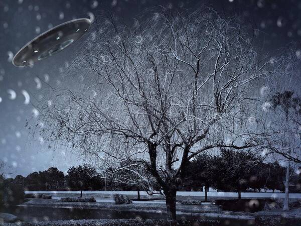 Winter Art Print featuring the photograph We Are Not Alone by Carlos Avila