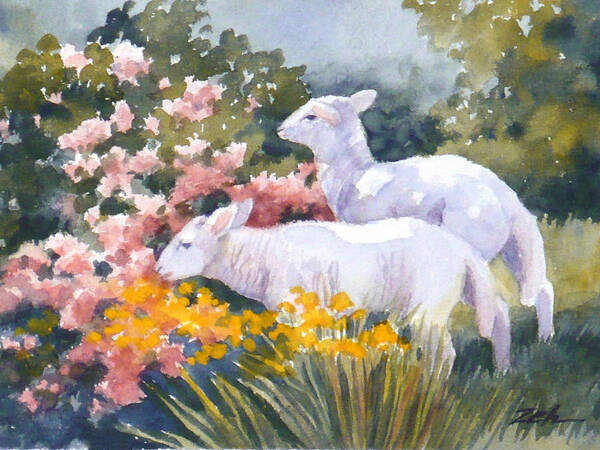 Baby Animals Art Print featuring the painting White Lambs in Scotland by Janet Zeh