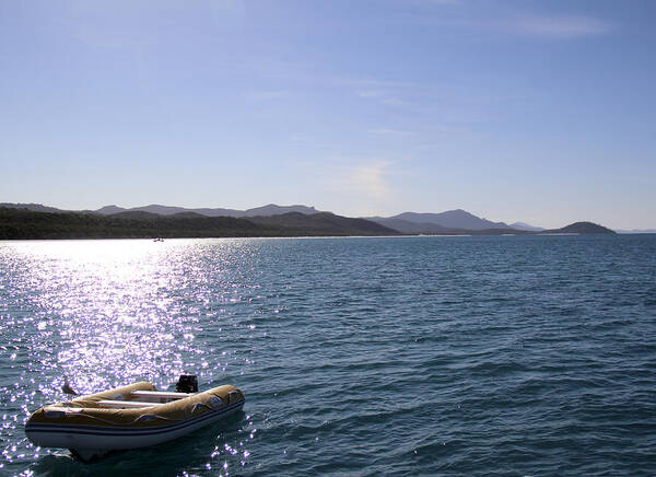 Dinghy Art Print featuring the photograph Whitsunday Island by Debbie Cundy