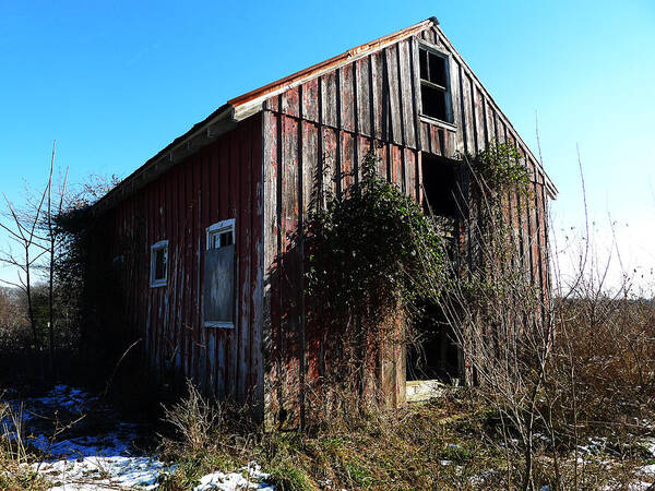 Barn Art Print featuring the photograph Winter Barn by Richard Reeve