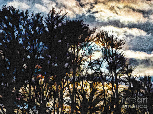 Winter Art Print featuring the photograph Winter Sky by Mary Underwood