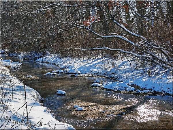 Landscape Art Print featuring the photograph Winter stream by Mikki Cucuzzo