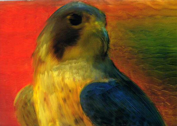 Hawk Birds Of Prey Naturalist Nature Wings Feathers Art Print featuring the painting World of Color by FeatherStone Studio Julie A Miller