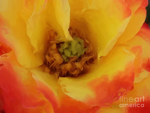 Yellow Art Print featuring the painting Yellow and Orange Rose by Jacklyn Duryea Fraizer