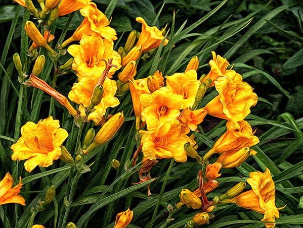 Flowers Art Print featuring the photograph Yellow Daylilies by Lena Auxier