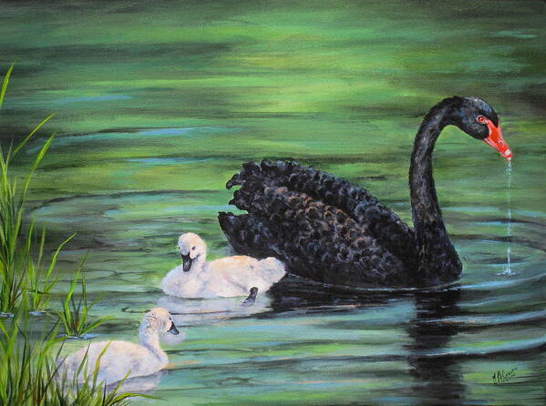 Bird Art Print featuring the painting You Comin'--Black Swan by Mary McCullah