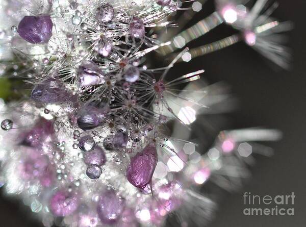 Fleur Art Print featuring the photograph Fleur De Cristal #1 by Sylvie Leandre