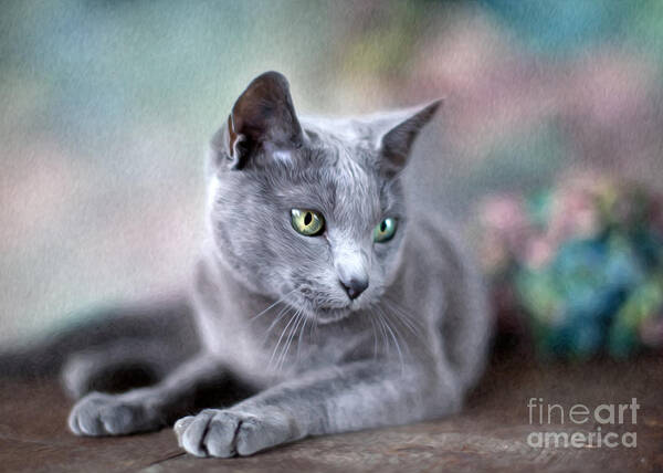 Cat Art Print featuring the painting Russian Blue #2 by Nailia Schwarz