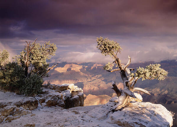 00173197 Art Print featuring the photograph South Rim Of Grand Canyon #2 by Tim Fitzharris