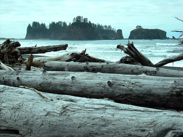 Twilight Art Print featuring the photograph Rialto Beach La Push #4 by Kelly Manning